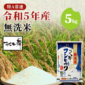 【ふるさと納税】令和5年産 福島県産 あさか舞コシヒカリ 無洗米 5kg　【 お米 白米 ライス ご飯 ブランド米 銘柄米 お弁当 おにぎり 1等米 特A 産地直送 主食 炭水化物 】　お届け：2023年11月上旬頃から順次発送予定