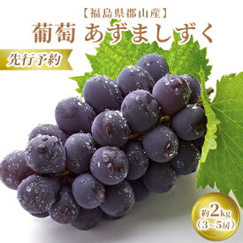 【ふるさと納税】【先行予約】【福島県郡山産】葡萄 あずましずく 約2kg（3～5房）　【 果物 フルーツ デザート 食後 おやつ 高糖度 贈答用 国産 ギフト 贈り物 】　お届け：2024年9月上旬～2024年9月中旬