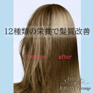 yӂ邳Ɣ[Łzy12XebvPg[ggz+o|pAW `Pbg e e e@ 12ނ̉h{f  ̖ TT wAg[gg