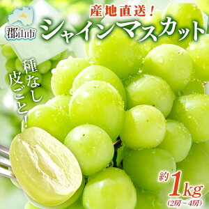 yӂ邳Ɣ[ŁzVC}XJbg 1kg 2[`4[ Ԃǂ uhE  Ȃ 嗱 ʕ t[c  ʎ fU[g Â F { x 蕨   Yn щʎ