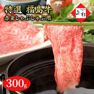yӂ邳Ɣ[ŁzԐgԂԗp300g