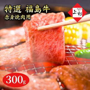 yӂ邳Ɣ[ŁzԐgēp300g