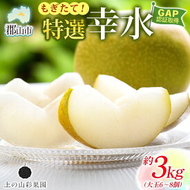 【ふるさと納税】特選 幸水 約3kg 大玉 6～8個 なし 梨 ナシ もぎたて 甘い 旬 果物 GAP 認証 産地直送 贈り物 贈答用 送料無料 上の山 彩果園 福島県 郡山市　お届け：2026年8月15日～9月1日