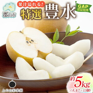yӂ邳Ɣ[ŁzI L 5kg  7`13 Ȃ  iV  Â { ʕ GAP F Yn 蕨 p  ̎R ʉʉ  SRs@͂F2025N910`928