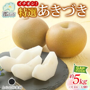 yӂ邳Ɣ[ŁzI Â 5kg  6`12 Ȃ  iV  Â { ʕ GAP F Yn 蕨 p  ̎R ʉʉ  SRs@͂F2025N915`105