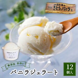 yӂ邳Ɣ[ŁzyEYzojWF[g 100ml×12 Jbv VR WF[g Y  ቷEۋ ojr[Y