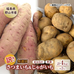 yӂ邳Ɣ[Łz󂠂 I Zbg LAOϒɏn ܂ & zNzN j Ⴊ 4kg  