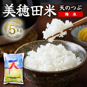 yӂ邳Ɣ[ŁzR7NY V̂  5kg  SRs Ђ  R  ͂   ɂ ]bg  uh Y Yn   σCXt@