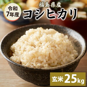 【ふるさと納税】令和7年産 コシヒカリ(玄米) 25kg こしひかり 玄米 げんまい 米 お米 こめ おこめ ライス 冷めても美味しい お弁当 おにぎり 塩むすび カレー どんぶり 丼 ふっくら お取り寄