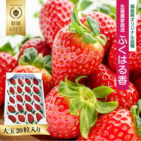 【ふるさと納税】〈 先行予約 〉いわき市産 いちご ふくはる香 2026年 産地直送 数量限定 特別ギフト 大玉 約1kg 20粒入り 1箱 ｜ BB030 苺 イチゴ 令和8年度発送 果物 フルーツ デザート