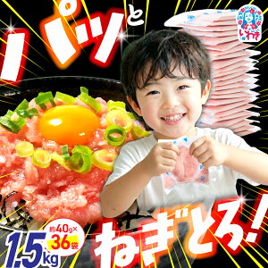 �y�ӂ邳�Ɣ[�Łz �y12/21�������܂� �N������ �z �l�M�g�� ������ 240g6P / 500g12P / 1kg24P / 1.5kg36P (��40g) �I�ׂ�z���� �܂��� �܂���̂����� �˂��Ƃ� �}�O�� 5000�~ �N���z�� �V�R�܂��� �g����