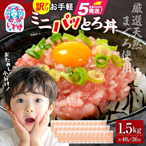 yӂ邳Ɣ[ŁzlMg  240g6P / 500g12P / 1kg24P / 1.5kg36P (40g) Iׂz ܂ ܂̂ ˂Ƃ }O p[eB[ 5000~ N N VR܂ g؂ ɂ 500