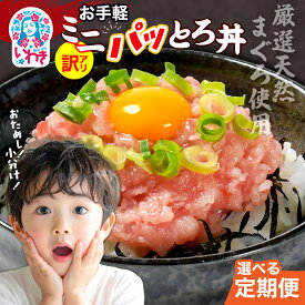 【ふるさと納税】〈定期便〉ねぎとろ使い切りパック　約1kg（約40g×24パック） | まぐろ まぐろのたたき ねぎとろ マグロ パーティー 使い切りパック 海鮮丼 お寿司 軍艦巻き 福島県 いわき市 | DK011-1kg-t-oya