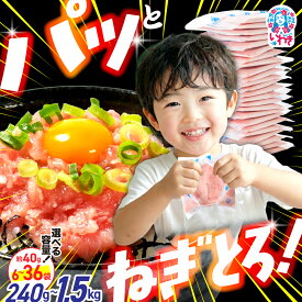 【ふるさと納税】 ネギトロ 小分け 240g6P / 500g12P / 1kg24P / 1.5kg36P (約40g) 選べる配送月 まぐろ まぐろのたたき ねぎとろ マグロ 5000円 天然まぐろ 使い切り 極み 5000円以内 海鮮丼 お寿司 軍艦巻き 福島県 いわき市