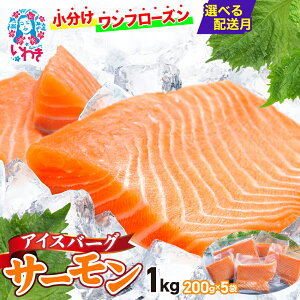 yӂ邳Ɣ[Łz]5 T[ hg  Iׂe 200g ` 1kg Iׂz ؂g ACXo[OT[ AgeBbNT[ tB  ^ Ⓚ  TP HT[