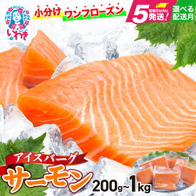 【ふるさと納税】高評価★4.9 サーモン 刺身 小分け 選べる容量 200g〜 1kg 選べる配送月 切り身 アイスバーグサーモン アトランティックサーモン フィレ 個包装 真空 冷凍 さけ サケ 生食サーモン 鮭 海鮮 手巻き寿司 ノルウェー産 カルパッチョ 送料無料 年内発送 年内配送