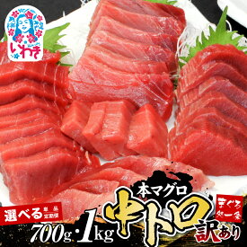 【ふるさと納税】先行予約 まぐろ 訳あり 本マグロ 中トロ 700g～1kg 選べる 大容量 定期便 マグロ 中とろ 不揃い 刺身 海鮮丼 寿司 家庭用 冷凍 鮪 柵 本鮪 漬け丼 海鮮 魚 鮮魚 ネギトロ まぐろ処一条 年内発送 年内配送 選べる配送月 指定日