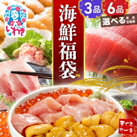 【ふるさと納税】海鮮 福袋 選べる 3品 6品 セット 定期便 ｜ 本マグロ 大トロ 中トロ うに いくら 漬けまぐろ ネギトロ まぐろ処一条 冷凍 魚 魚介 海鮮丼 まぐろ 刺身 人気 おすすめ イクラ醤油漬け 選べる配送月 年内配送 指定日 年内発送