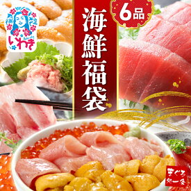【ふるさと納税】海鮮 福袋 選べる 3品 6品 セット 定期便 ｜ 本マグロ 大トロ 中トロ うに いくら 漬けまぐろ ネギトロ まぐろ処一条 冷凍 魚 魚介 海鮮丼 まぐろ 刺身 人気 おすすめ イクラ醤油漬け 選べる配送月 年内配送 指定日 年内発送
