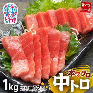 yӂ邳Ɣ[Łz {}O g Iׂ 300g 1kg  𓀃Vst ^  b ܂  {܂ { hg g ܂돈 N Nzb