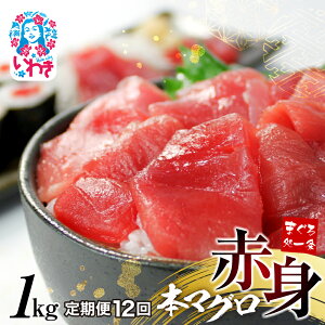 yӂ邳Ɣ[Łz {}O Ԑg 300g 1kg Iׂ  b 𓀃Vst 1TN ^ ܂  i CN ܂돈 N Nzb