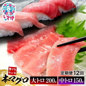 yӂ邳Ɣ[Łz {}O g g Zbg 350g Iׂ  𓀃Vst 1TN ^ b ܂ }O  Hה  hg b ܂돈 N Nzb DG012