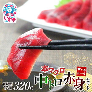 yӂ邳Ɣ[Łz {}O g Ԑg Zbg 320g Iׂ  𓀃Vst 1TN ^ b ܂  }O hg ܂돈 N Nz