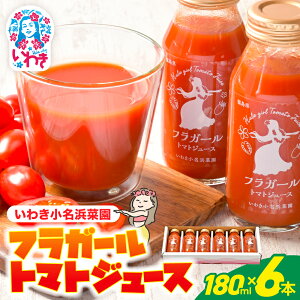 yӂ邳Ɣ[ŁztK[g}gW[XZbgi180ml×6{j؃W[X N  hN ς  sgp ۑsgp yY yY 킫Y Y Y ӂ