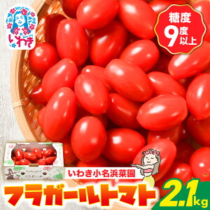yӂ邳Ɣ[ŁztK[g}gi2.1kgjg}g tK[ b  N yY yY 킫Y Y Y ӂ܎Y 킫l؉bIO003