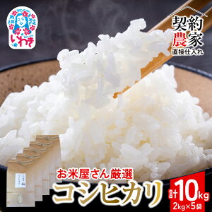 yӂ邳Ɣ[Łzy__ƒڎdāz킫sYuRVqJvIׂeʁi2kg~10kgjߘa7NY VāiKChtj | Y 킫sY k 쓌k 