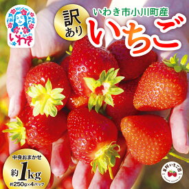 【ふるさと納税】訳あり　いわき市産いちご　草野いちご園のいちごの詰め合わせ1kg（250g×4P）（中身はお任せ） | 苺 イチゴ ストロベリー 青果 生果 果物 くだもの フルーツ 産地直送 春季 冬季 いわき市産 福島県産 福島県産限定品種 オリジナル品種 ふくはるか | BB032