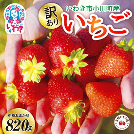 【ふるさと納税】〈 先行予約 〉2026年 訳あり 産地直送 いわき市産 いちご 草野いちご園 の いちごの詰め合わせ 820g（205g×4P）（中身はお任せ）ふくはる香 ゆうやけベリー よつぼし ベリーホップすず ｜ BB032 イチゴ 苺 令和8年度発送 果物 フルーツ デザート 食べ比べ