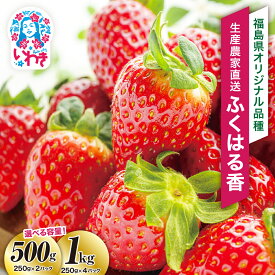 【ふるさと納税】〈 先行予約 〉いわき市産 いちご ふくはる香 2026年 産地直送 選べる容量 500g （ 250g × 2パック ） 1kg（ 250g × 4パック ） 数量限定 特別ギフト ｜ BB029 苺 イチゴ ベリー 令和8年度発送 果物 フルーツ デザート