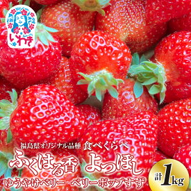 【ふるさと納税】2026年 産地直送 いわき市産 いちご「ふくはる香」「よつぼし」「ゆうやけベリー」「ベリーホップすず」の 食べ比べセット 1kg （250g×4パック） ｜ BB031 苺 イチゴ 令和8年度発送 果物 フルーツ デザート 食べ比べ