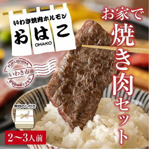 【ふるさと納税】ギフト用【無地熨斗】【味付焼肉セット】焼き肉専門店からお届け 焼肉セット2〜3人前!600g入り!