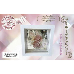 yӂ邳Ɣ[ŁzRK[ft[ vU[uht[ t[AWsN b BB005  flower AWg 蕨