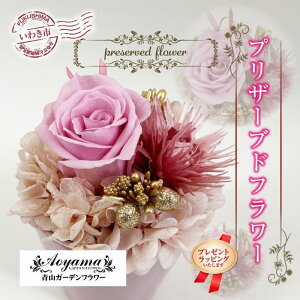 yӂ邳Ɣ[ŁzqMtgpv[gbsOr RK[ft[ vU[uht[ |bgAWsN b BB081  flower 蕨 AWg v[g Mtg