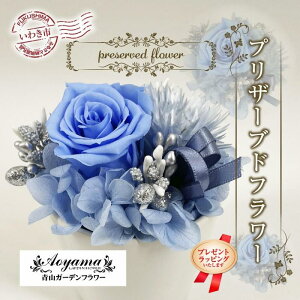 yӂ邳Ɣ[ŁzqMtgpv[gbsOrRK[ft[ vU[uht[ |bgAWu[ b BB083  flower v[g 蕨 