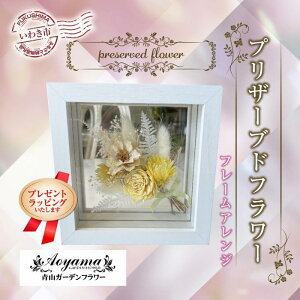 yӂ邳Ɣ[ŁzqMtgpv[gbsOrRK[ft[ vU[uht[ t[AWCG[ b BB084  flower 蕨 v[g