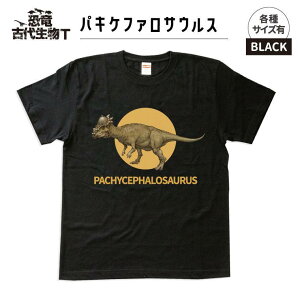 yӂ邳Ɣ[ŁzEÑ㐶TVc@pLPt@TEX 036