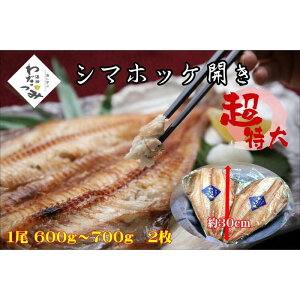 yӂ邳Ɣ[Łz@V}zbP@1.2kg`1.4kgi600g`700g×2pbNj |    Hi lC  