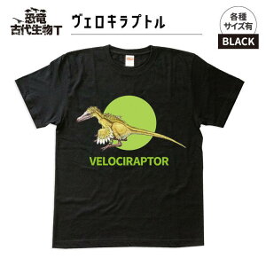 【ふるさと納税】恐竜・古代生物Tシャツ ヴェロキラプトル 010
