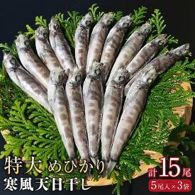 【ふるさと納税】特大めひかり寒風天日干し　15尾