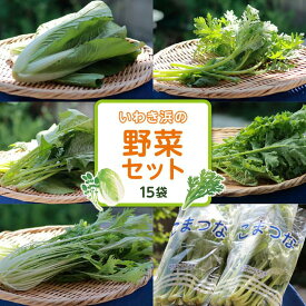 【ふるさと納税】いわき浜の野菜セット（いわき市産の野菜詰め合わせセット）