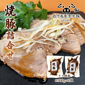 【ふるさと納税】白河高原清流豚 焼豚詰合せ 300g×2 F21R-039