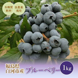 【ふるさと納税】《先行予約》白河産ブルーベリー 1kg F21R-050