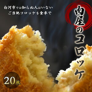 yӂ邳Ɣ[Łz̃RbP 20 F21R-066