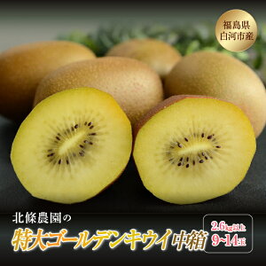 yӂ邳Ɣ[ŁzS[fLEC  2.6kgȏ 9`14 F21R-104