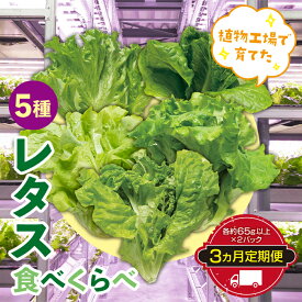 【ふるさと納税】定期便 3ヶ月連続 植物工場で育てた5種のレタス食べくらべセット 10パック F23R-785