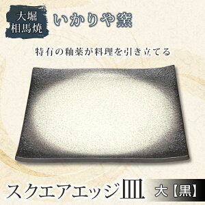 yӂ邳Ɣ[Łzxn q XNGAGbW M () F21R-177